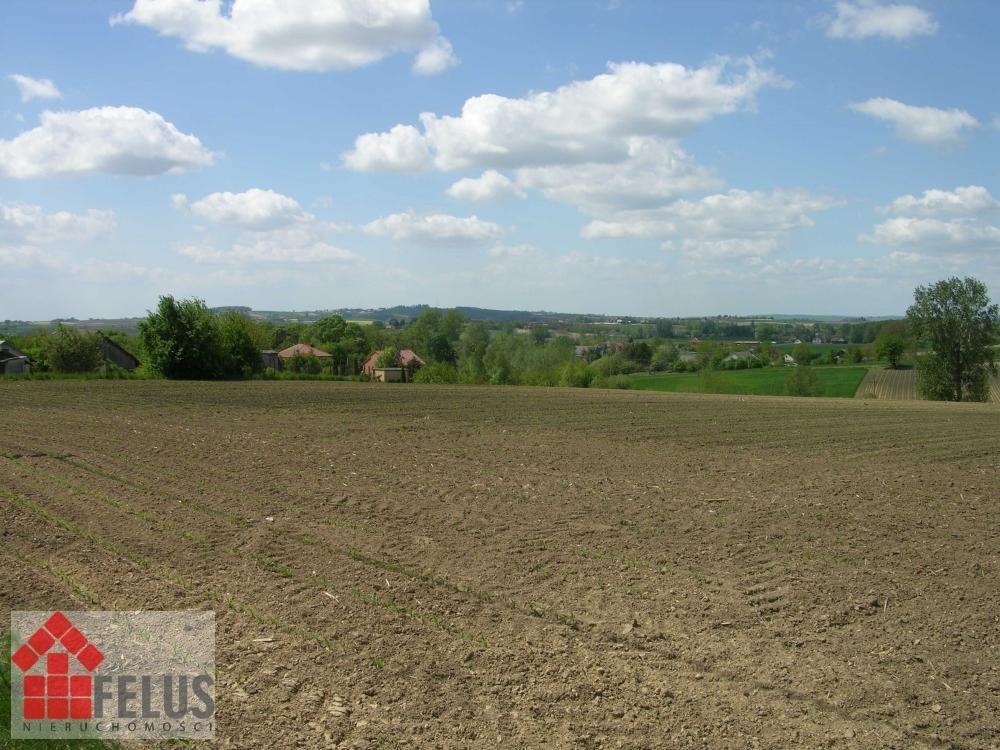 Działka inna na sprzedaż Opatkowice  5 000m2 Foto 2