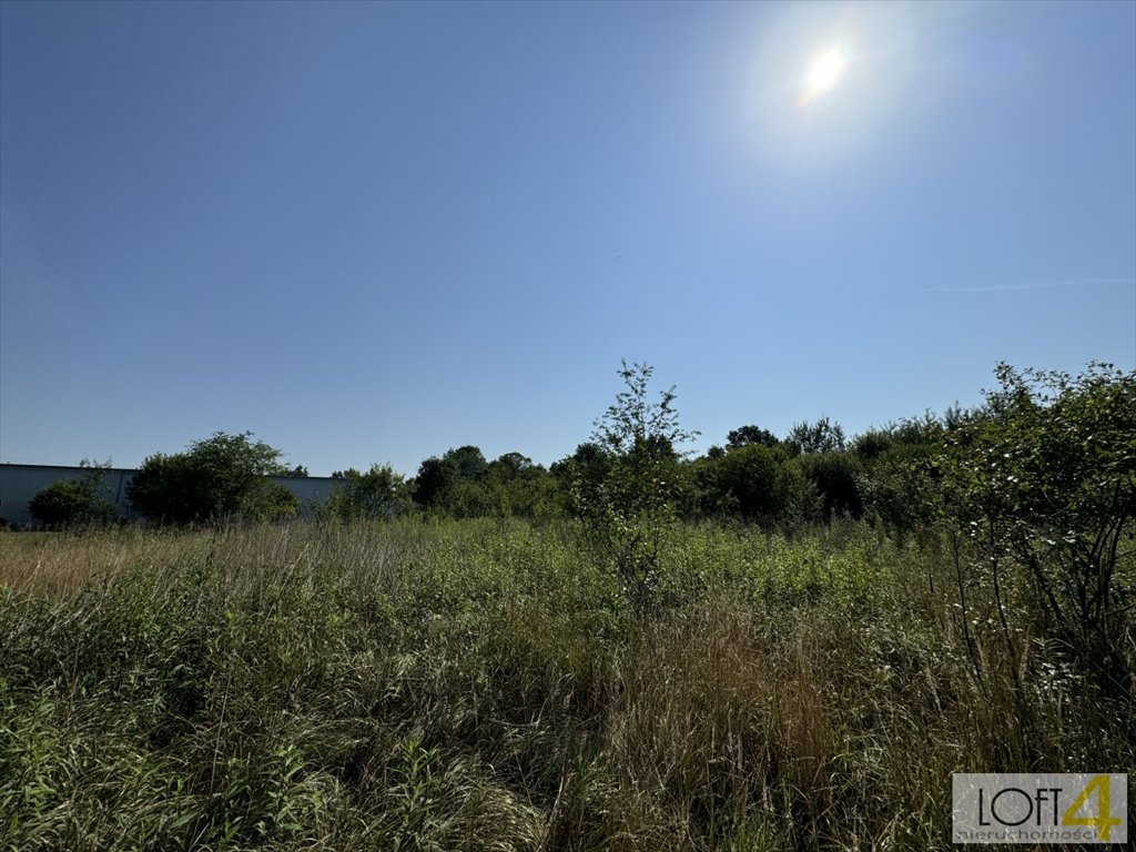 Działka budowlana na sprzedaż Łęki  3 600m2 Foto 5