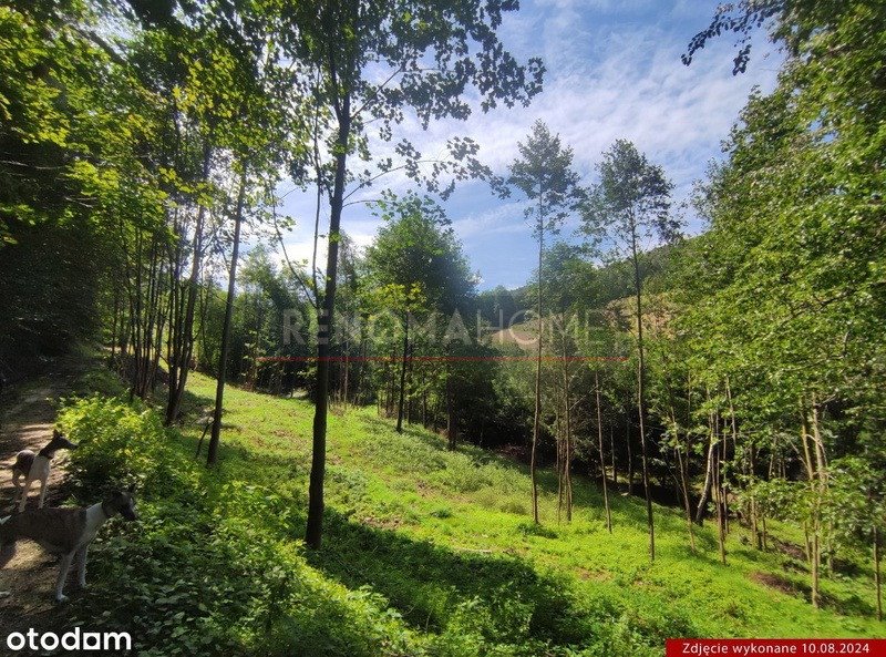 Działka budowlana na sprzedaż Konradów  1 500m2 Foto 3