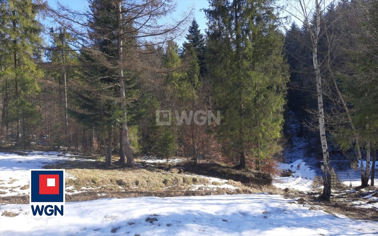 Działka budowlana na sprzedaż Wisła, Bukowa  2 565m2 Foto 8