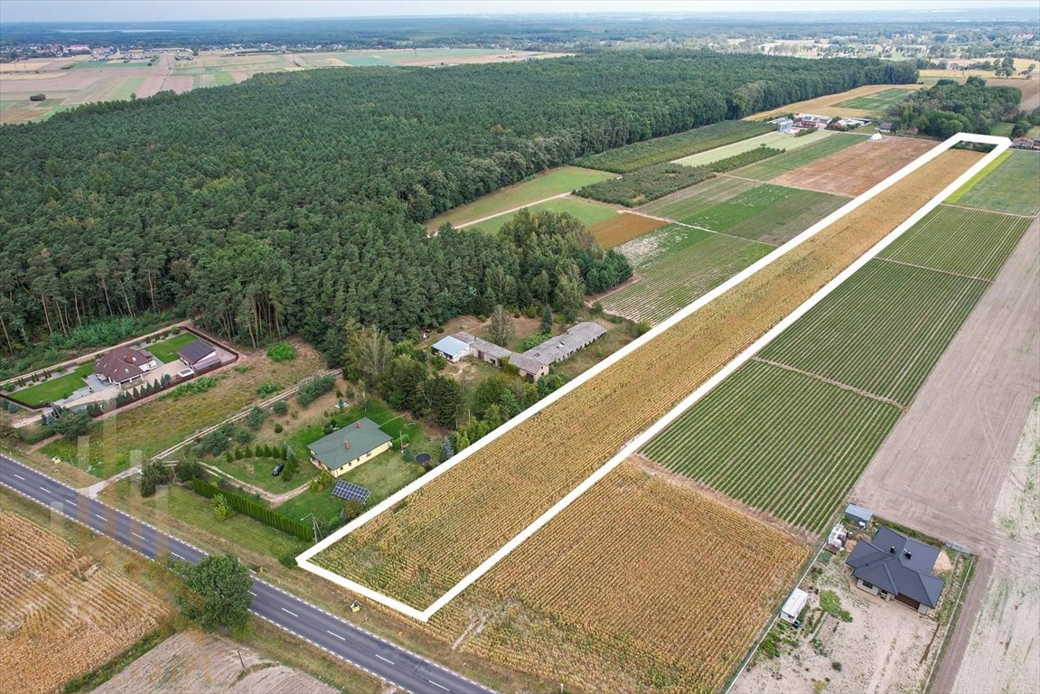 Zapraszam do zakupu działki inwestycyjnej 20 200 m² z mediami Topólno  20 200m2 Foto 1