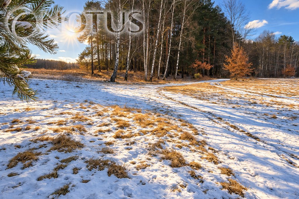Zapraszam do zakupu działki 1600 m² pod dom w Cegielniku Cegielnik  1 600m2 Foto 1