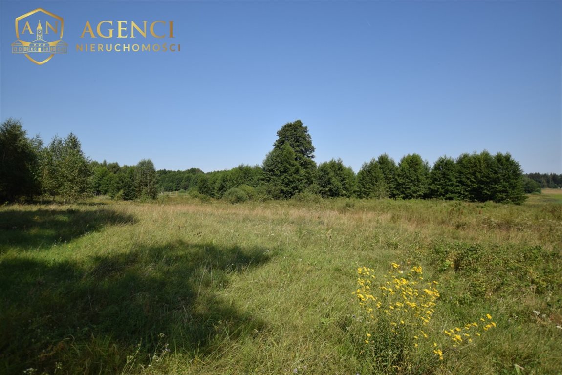 Działka rolna 4500m² z stawami i dostępem do rzeki - polecam! Rybniki  4 500m2 Foto 1
