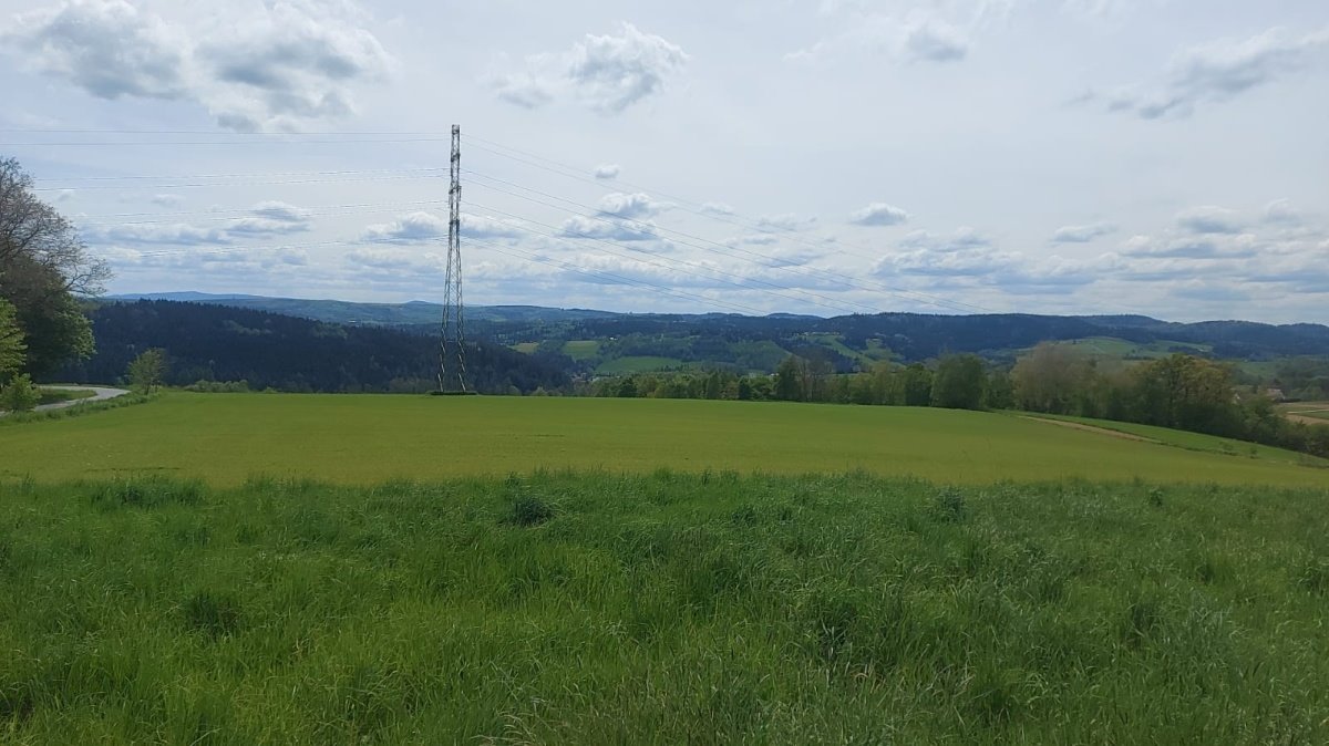 Działka budowlana na sprzedaż Ciężkowice, Ciężkowice, Kąśna Górna  1 000m2 Foto 3