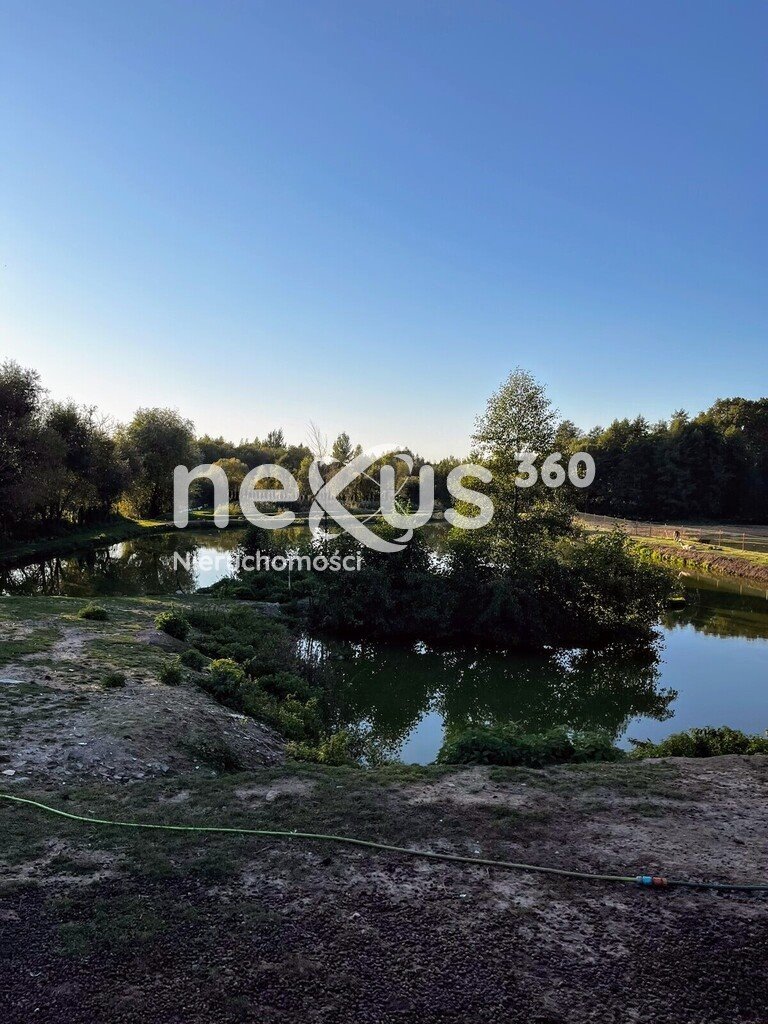 Działka inwestycyjna na sprzedaż Łuczyna  15 000m2 Foto 4