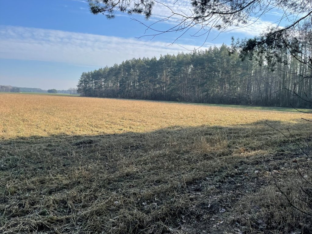 Działka rolna na sprzedaż Ignacewo  9 600m2 Foto 1