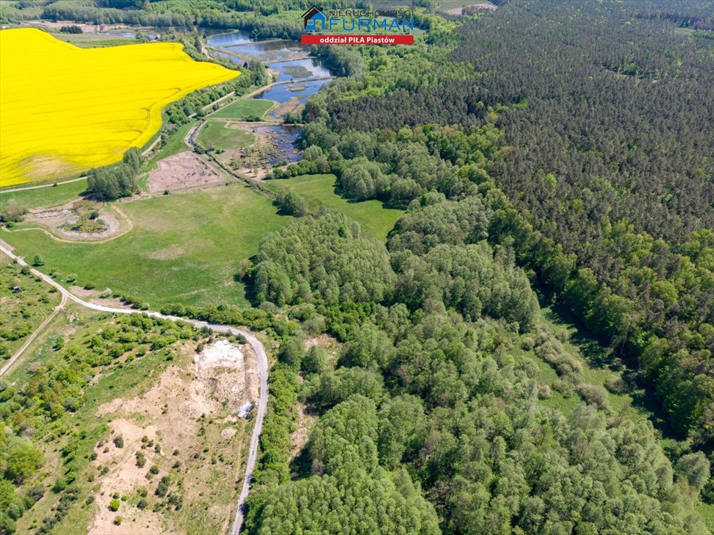 Działka inna na sprzedaż Róża Wielka  24 900m2 Foto 4