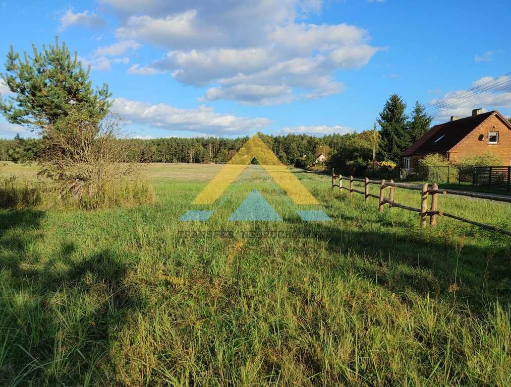 Działka budowlana na sprzedaż Łasko  6 900m2 Foto 3