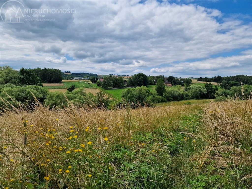 Działka budowlana na sprzedaż Sitnica  10 602m2 Foto 1