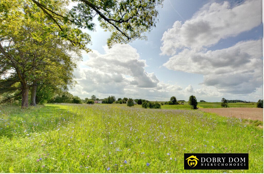 Na sprzedaż działka 6304 m² z warunkami zabudowy w Jabłońskim Jabłońskie  6 304m2 Foto 1