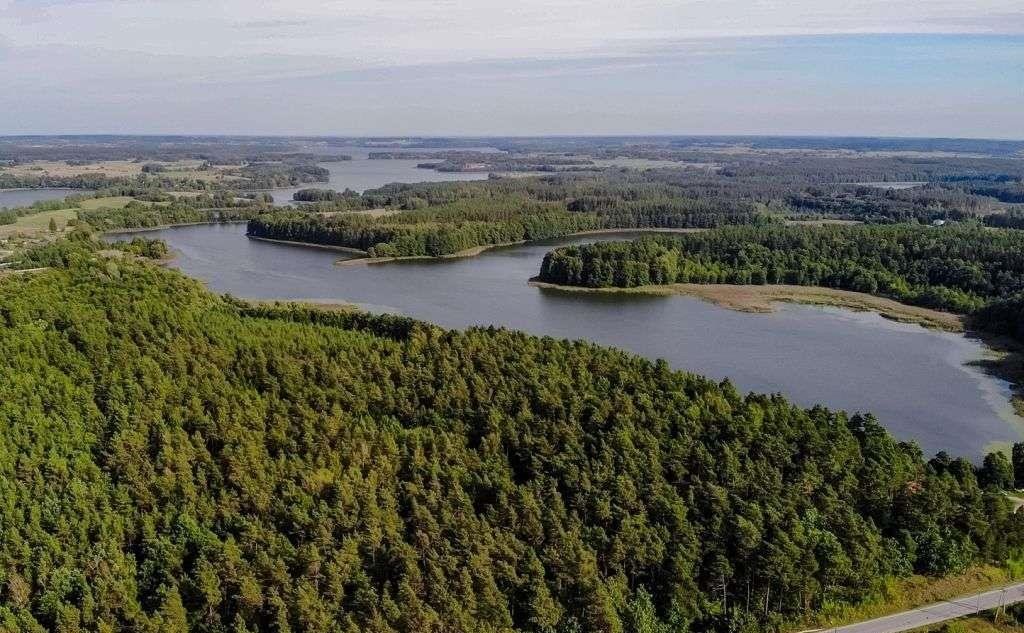 Działka rolna na sprzedaż Stare Juchy  4 252m2 Foto 4