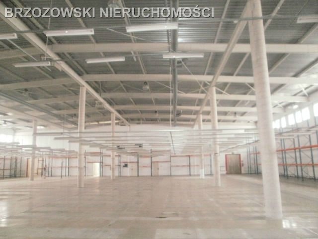 Lokal użytkowy na sprzedaż Warszawa, Ursynów, Dawidy  7 200m2 Foto 12