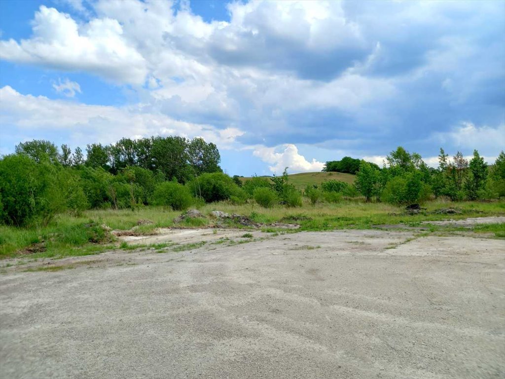 Działka budowlana na sprzedaż Chwaliszów, Chwaliszów  52 000m2 Foto 12