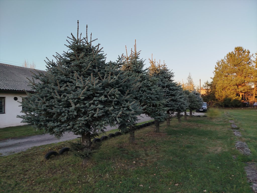 Działka przemysłowo-handlowa pod dzierżawę Skarżysko-Kamienna, Towarowa 100  4 000m2 Foto 6