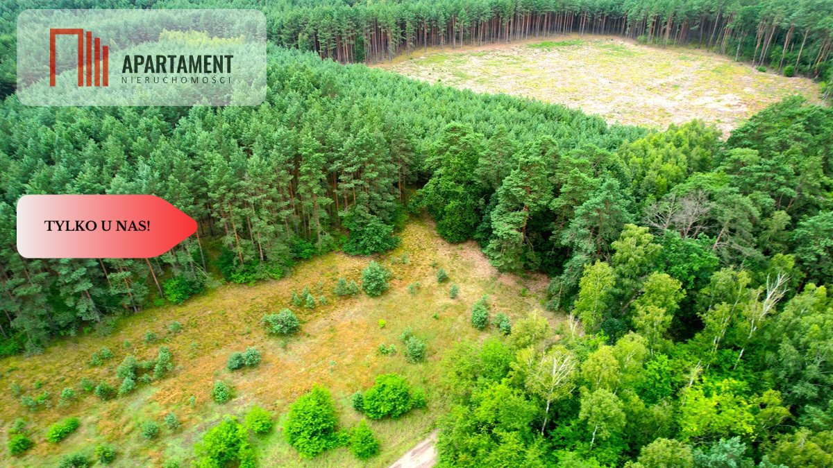 Urokliwa działka 1356 m2 z lasem, cisza i warunki zabudowy Cegielnik  1 356m2 Foto 1