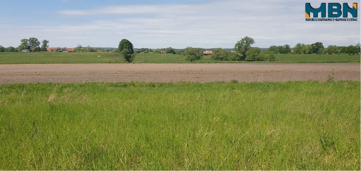 Działka budowlana na sprzedaż Kruklin, Kruklin  1 001m2 Foto 9