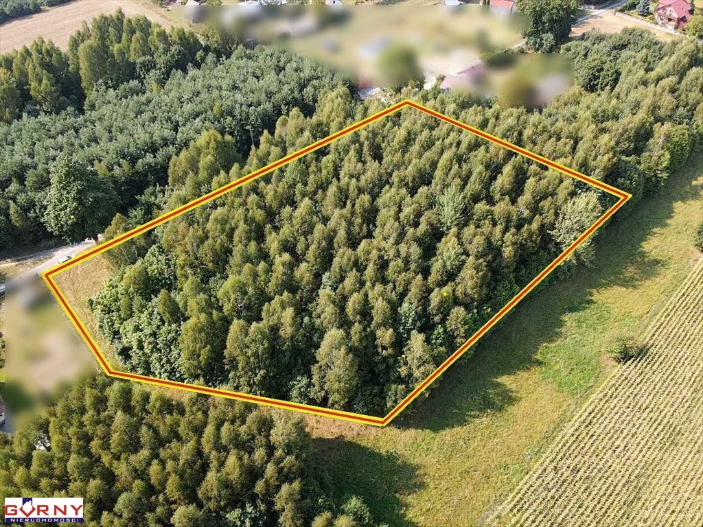 Działka inna na sprzedaż Mniszków  7 400m2 Foto 3