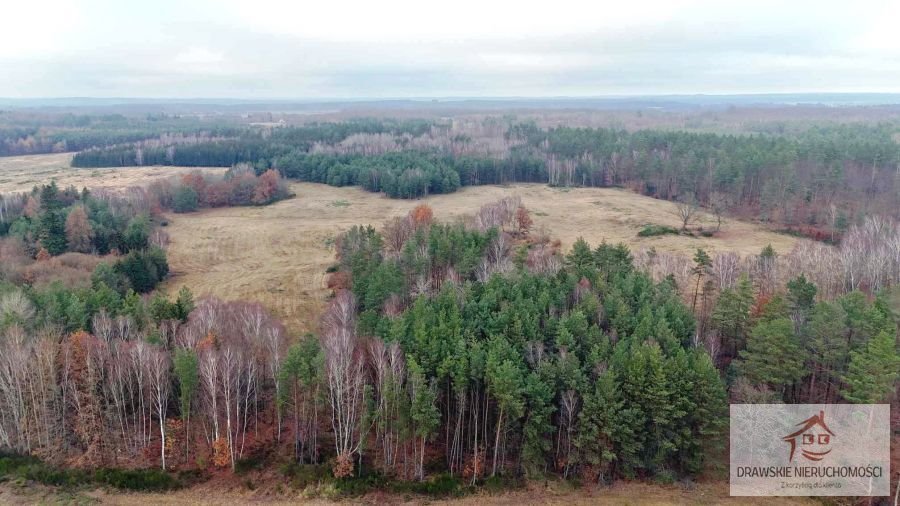 Działka inna na sprzedaż Pepłówek, Pepłówek  245 314m2 Foto 10