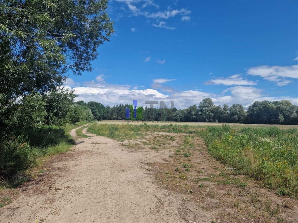 Działka przemysłowo-handlowa na sprzedaż Gajków  8 000m2 Foto 6