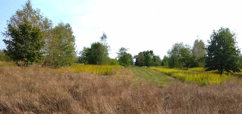 Działka komercyjna na sprzedaż Wygoda  1 998m2 Foto 14