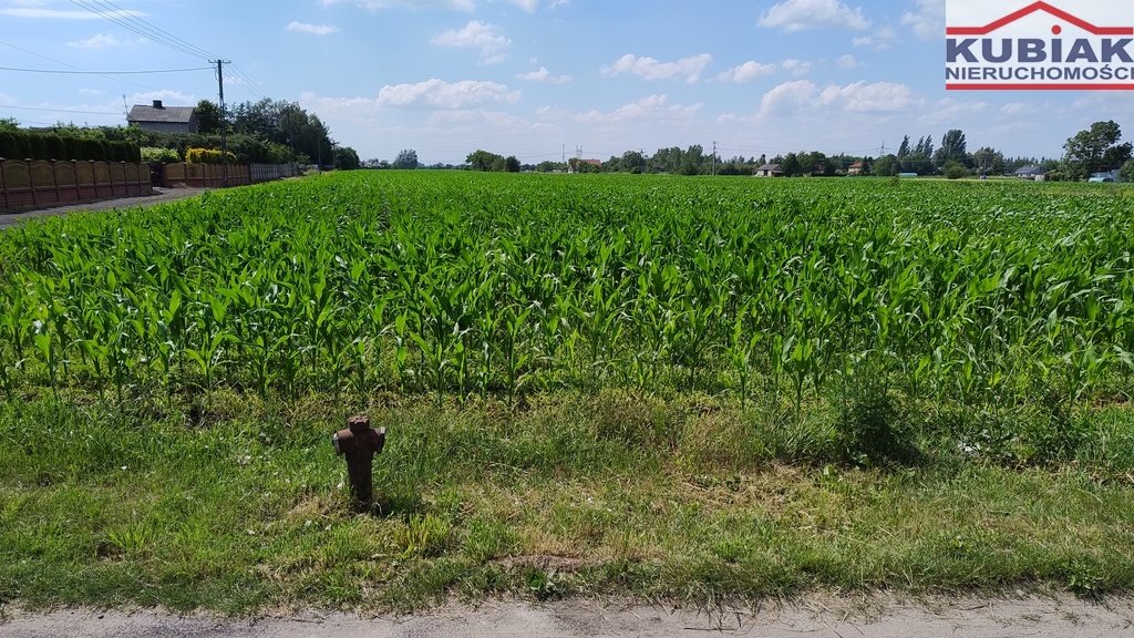 Działka budowlana na sprzedaż Żaby  15 207m2 Foto 4