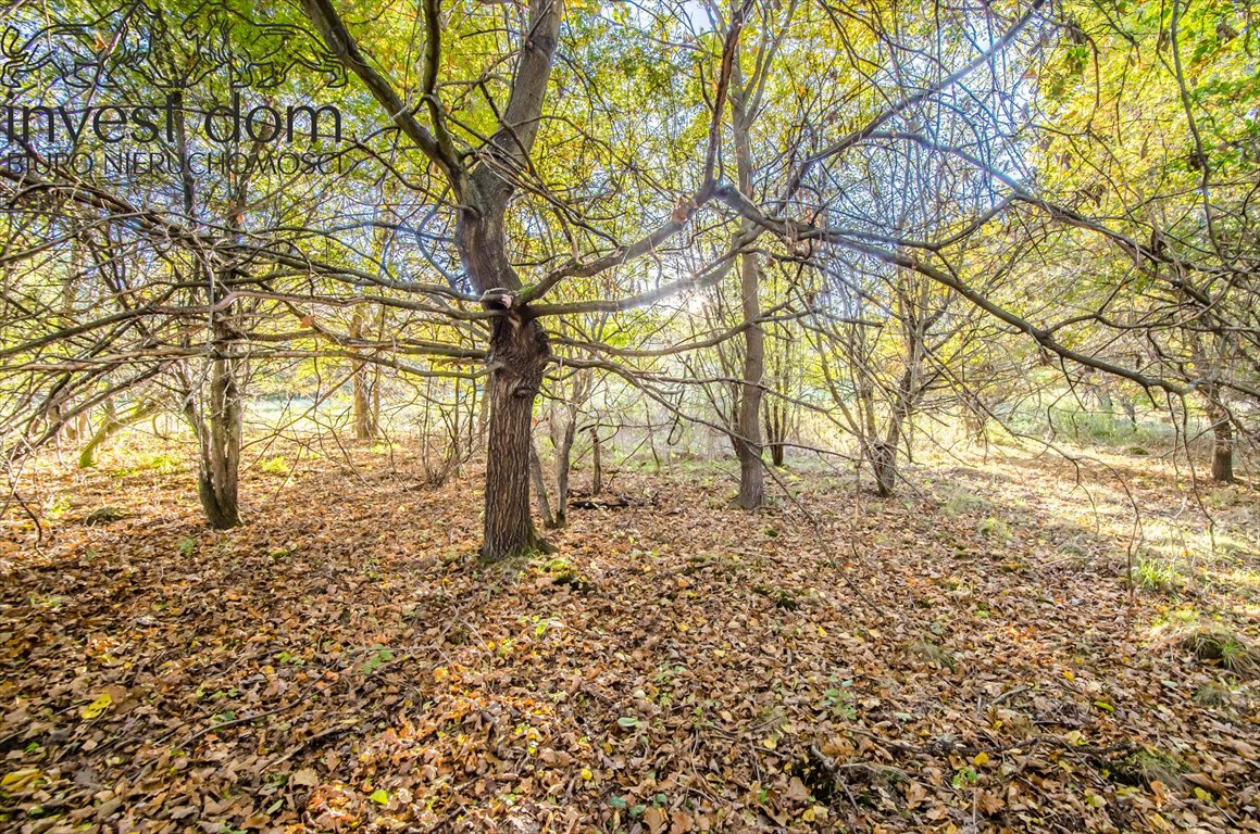 Działka budowlana na sprzedaż Gorlice  5 763m2 Foto 7