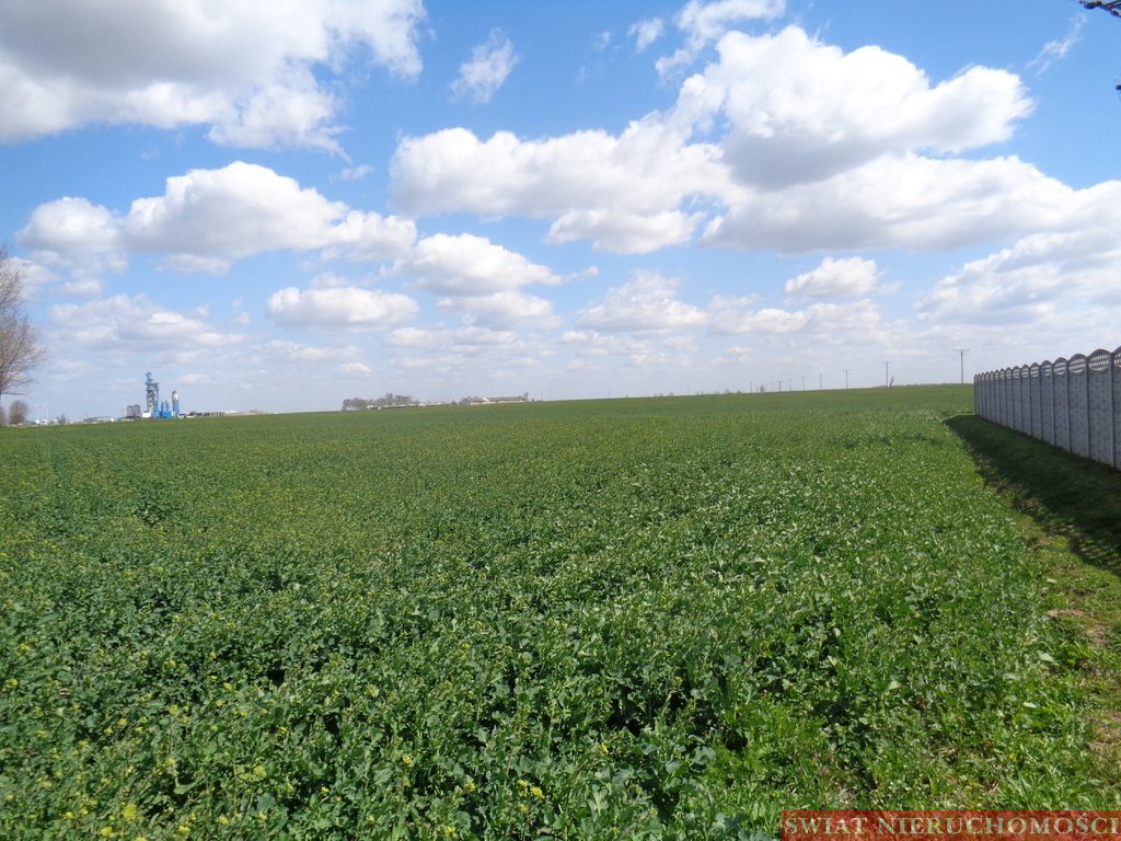 Działka budowlana na sprzedaż Rogów Sobócki 2 800m2 Foto 1 Działka budowlana na sprzedaż Rogów Sobócki 2 800m2 Foto 1