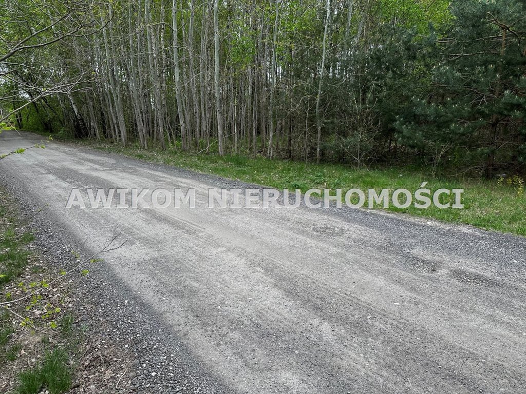 Działka inna na sprzedaż Grodzisk Mazowiecki, Marynin  10 200m2 Foto 6