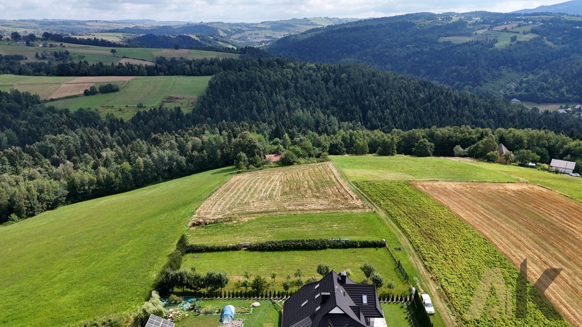 Działka budowlana na sprzedaż Chełmiec  1 200m2 Foto 8