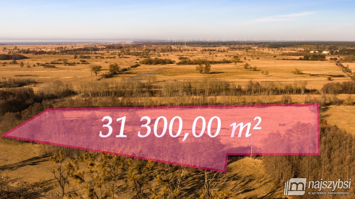 Działka rolna 31 300 m2 z drzewami i dostępem do gazu. Żarnowo  31 300m2 Foto 1
