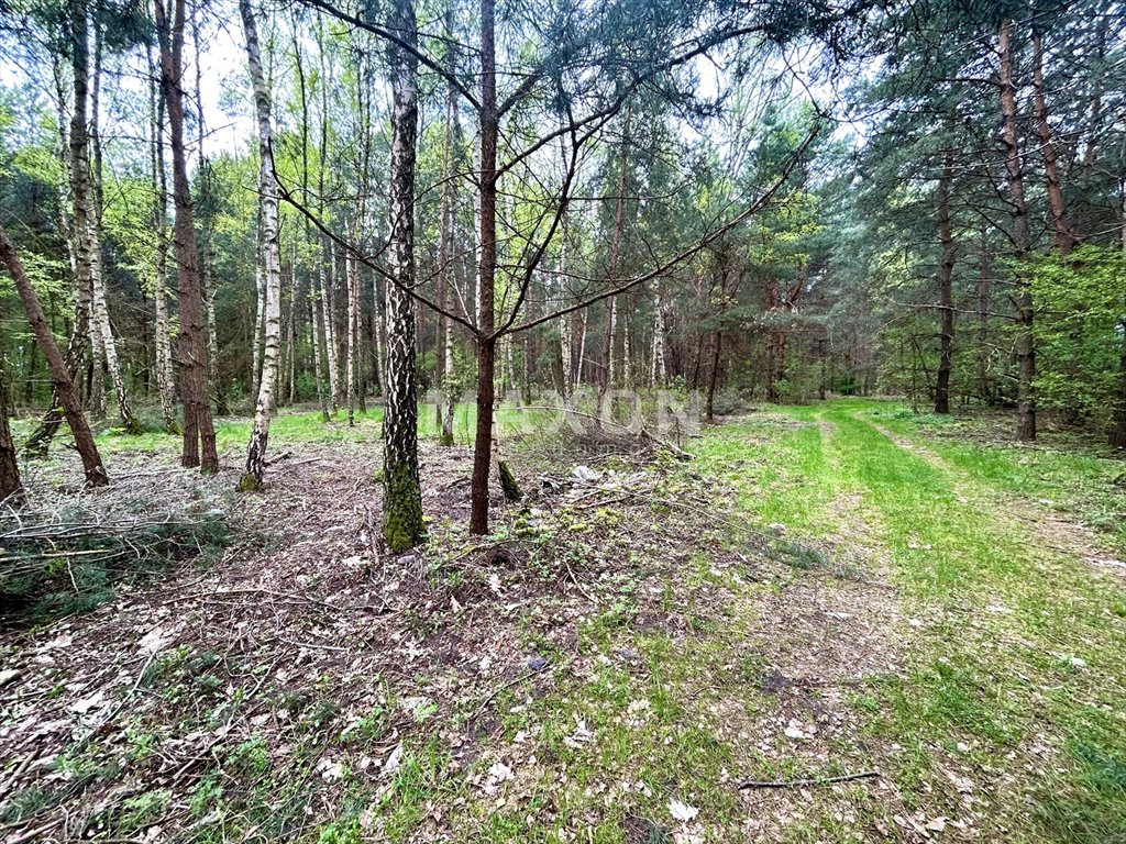 Działka rolna na sprzedaż Stanisławów Pierwszy  6 270m2 Foto 8