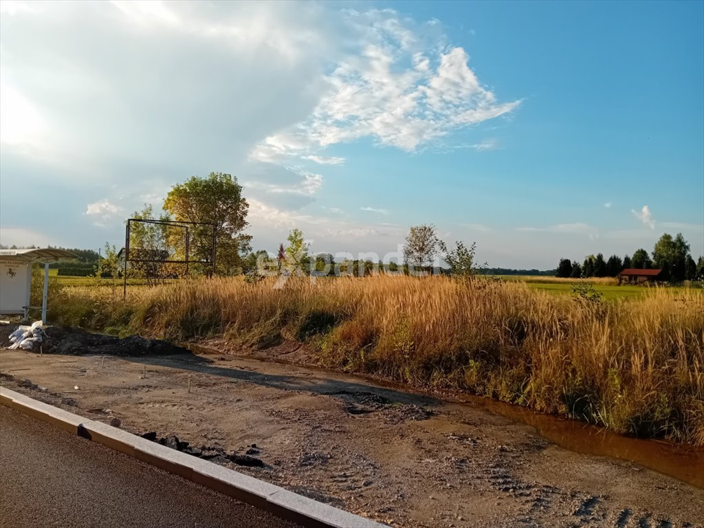 Działka przemysłowo-handlowa na sprzedaż Stanica, Gliwicka  3 124m2 Foto 4