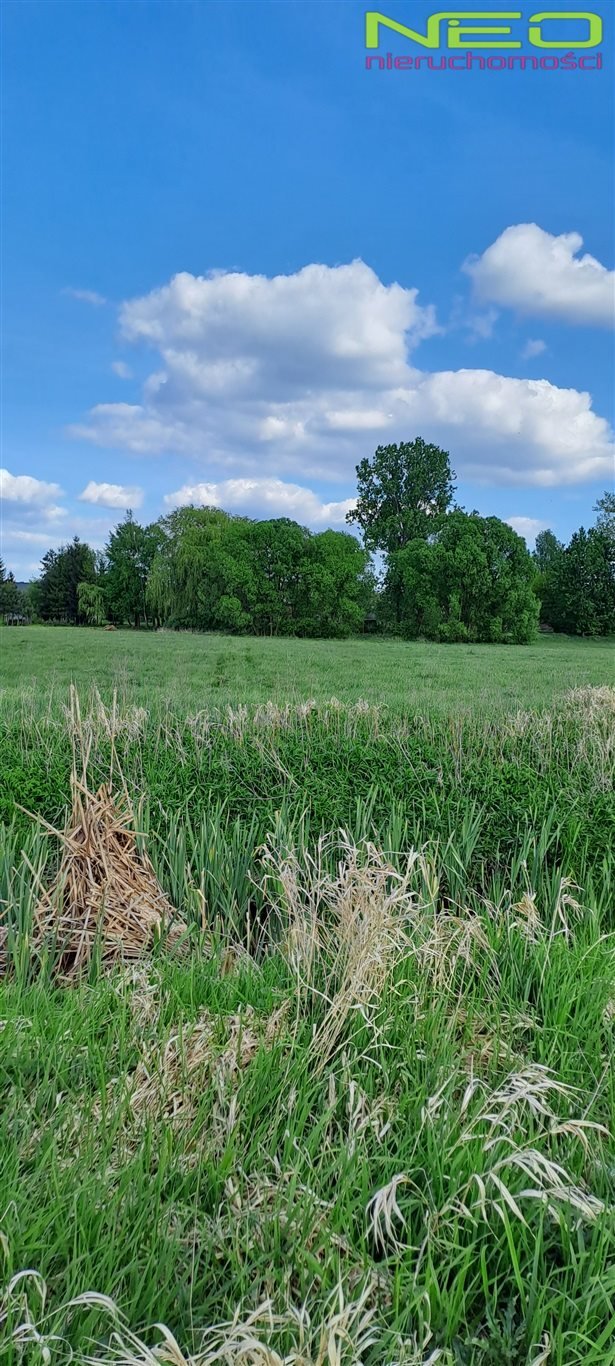 Działka 2256 m² pod inwestycję lub rekreację, dojazd polną Opatów  2 256m2 Foto 1