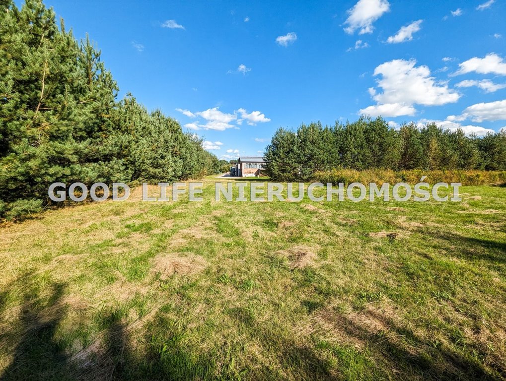 Lokal użytkowy na sprzedaż Wysoka Głogowska  36 300m2 Foto 12