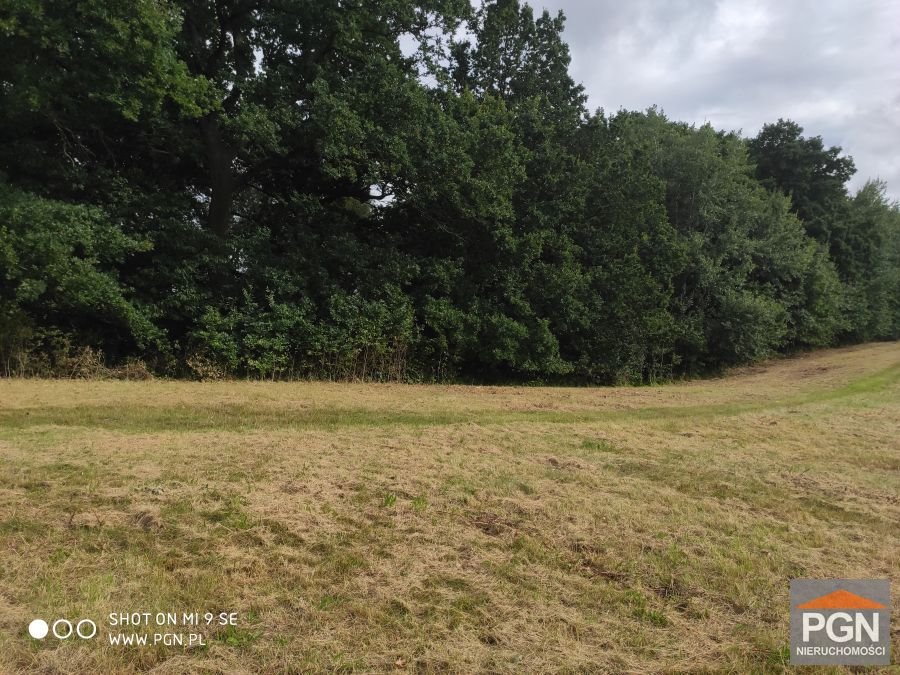 Działka 3500 m² w Skrobotowie (spokojna okolica, blisko morza) Skrobotowo  3 500m2 Foto 1