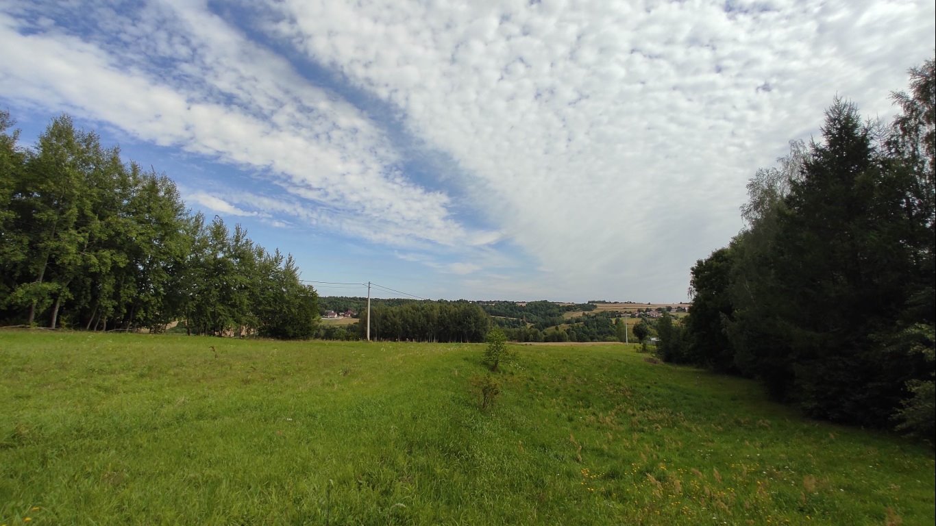 Działka budowlana na sprzedaż Radkowice-Kolonia  10 921m2 Foto 12