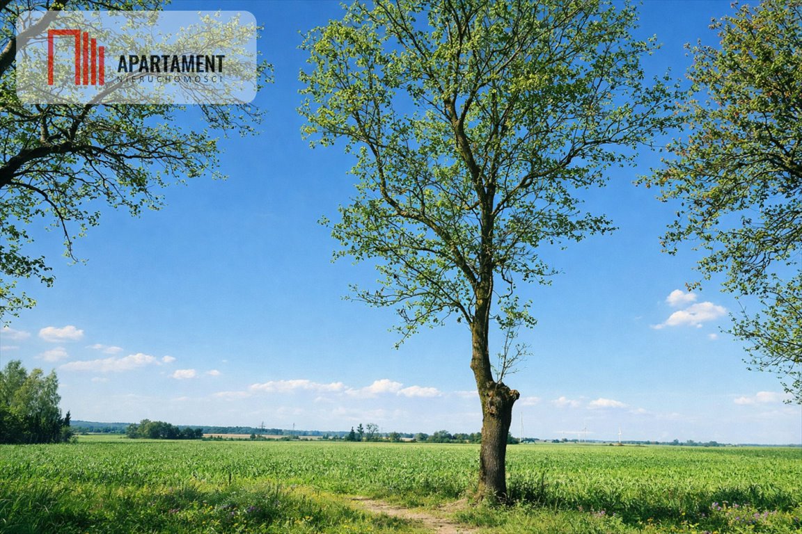 Działki budowlane z mediami i warunkami zabudowy - 4024 i 4731 m² Radomice  4 024m2 Foto 1