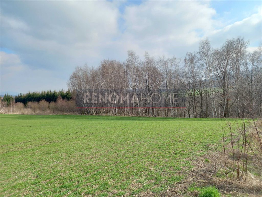 Działka budowlana na sprzedaż Witoszów Górny  1 518m2 Foto 7