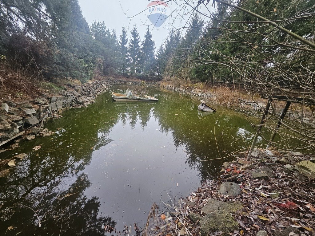 Działka rekreacyjna na sprzedaż Michałów-Reginów  800m2 Foto 4