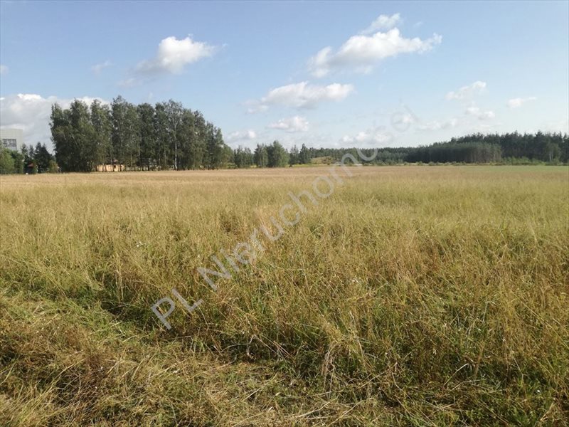 Działka rolna na sprzedaż Krze Duże  40 600m2 Foto 6