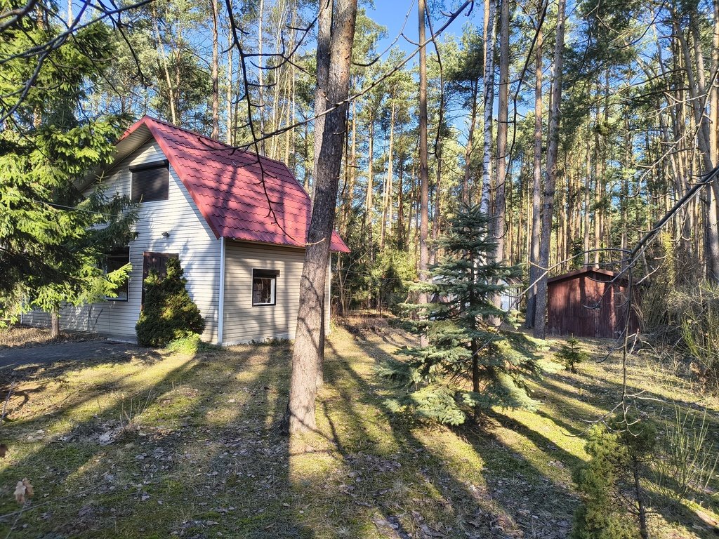 Działka 682 m² z domkiem, media, las, blisko A2 Kania Góra, Litewska  682m2 Foto 1