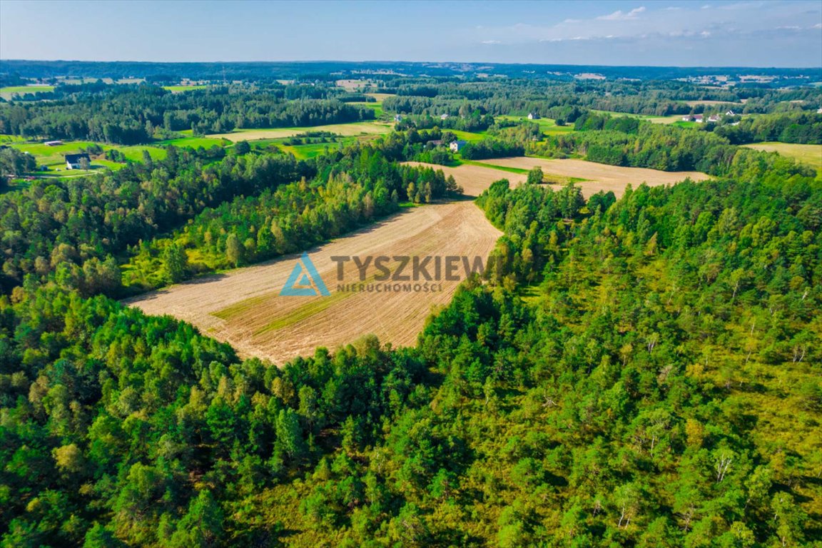 Działka leśna na sprzedaż Staniszewo  7 300m2 Foto 12