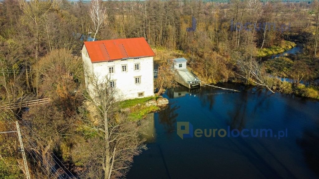 Lokal użytkowy na sprzedaż Bieleckie Młyny, Młyn, Bieleckie Młyny  290m2 Foto 4