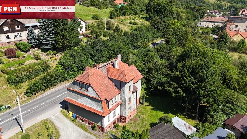 Zapraszam do sprzedaży domu z prosperującą apteką 324 m² Ludwikowice Kłodzkie  324m2 Foto 1