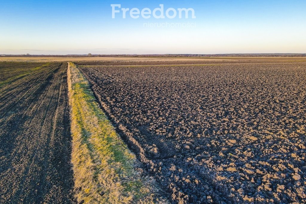 Działka rolna na sprzedaż Stare Miasto  10 900m2 Foto 7