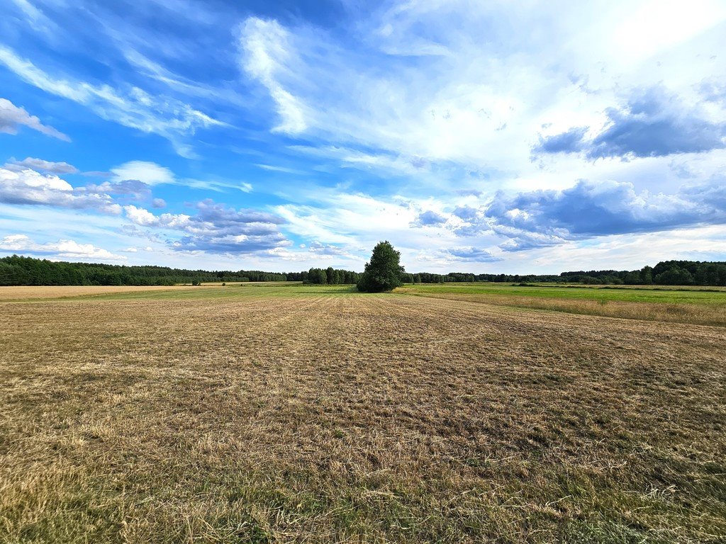 Działka inna na sprzedaż Leszkowice  21 188m2 Foto 6