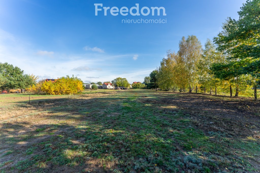 Działka budowlana na sprzedaż Borki, Błękitna  28 300m2 Foto 7