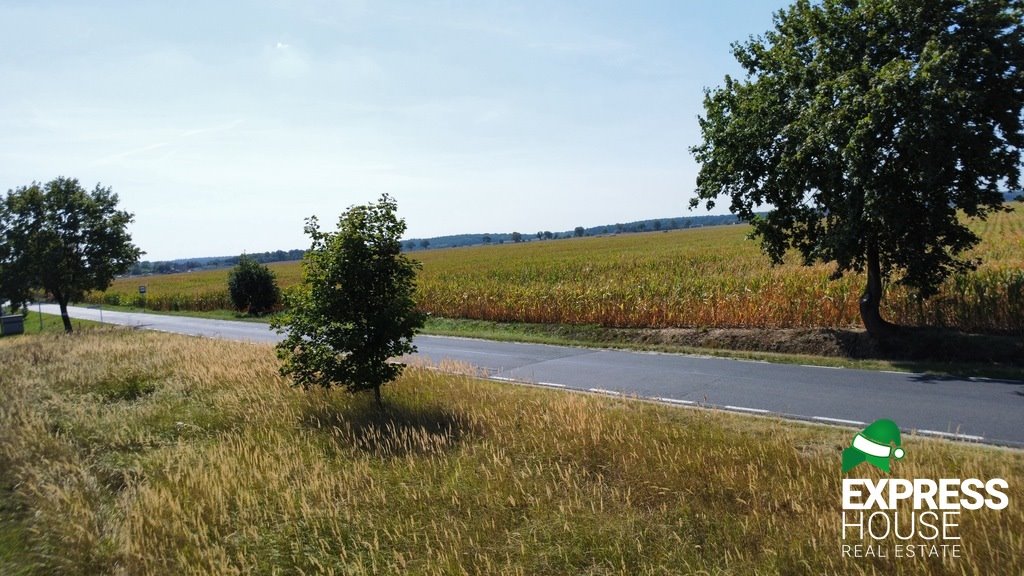 Działka budowlana na sprzedaż Bytyń, Bosmańska  798m2 Foto 8