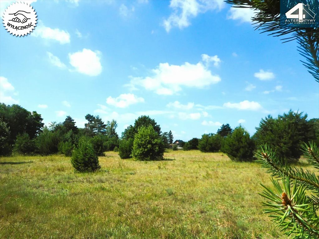 Działka budowlana na sprzedaż Pabianice, Pabianicka  1 115m2 Foto 4