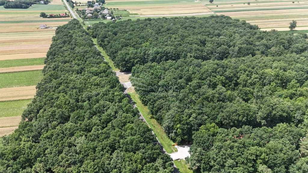 Lokal użytkowy na sprzedaż Stabrów  589m2 Foto 7